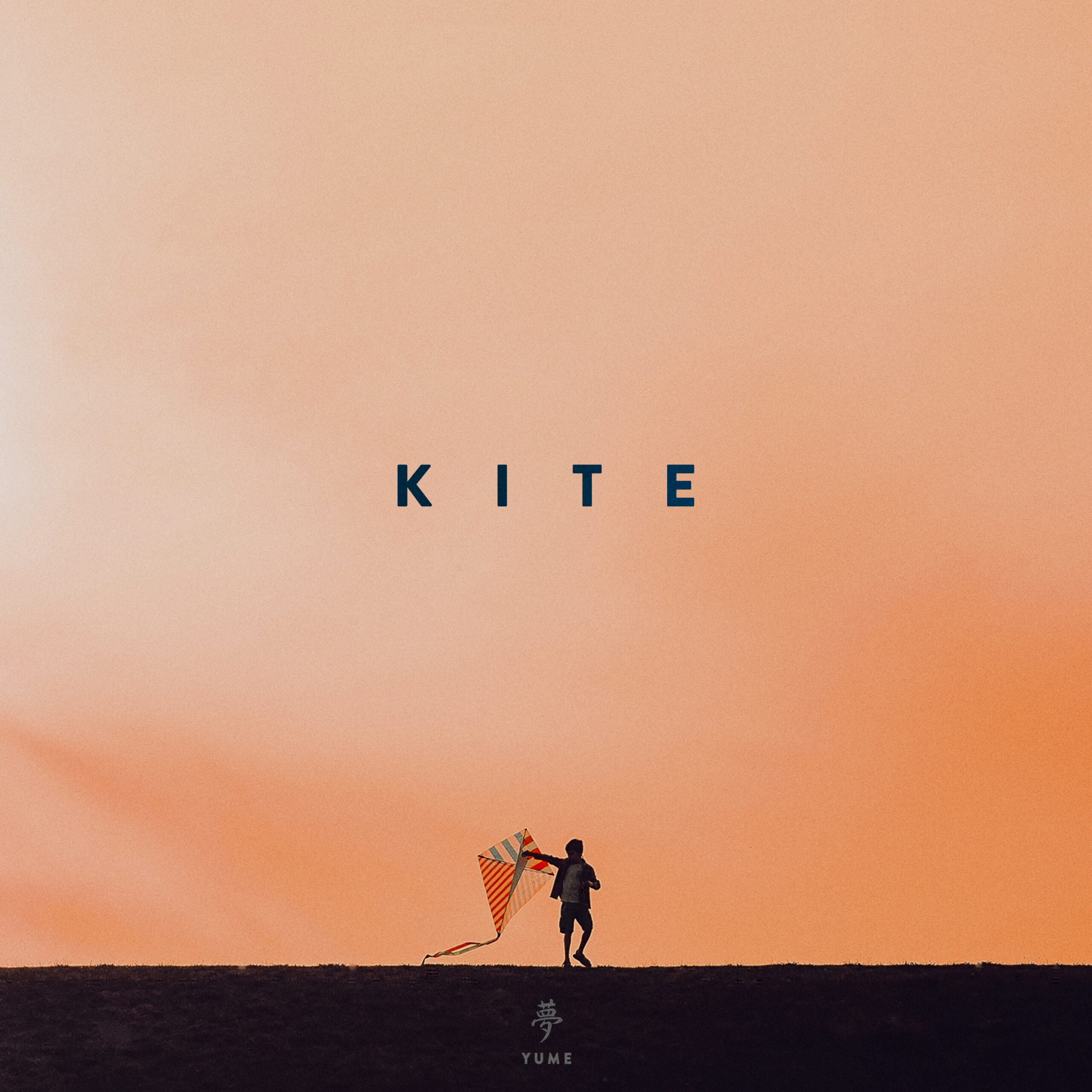 Kite (Cover)